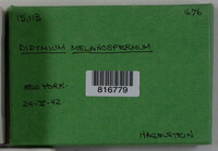 Image Associated With the Occurence